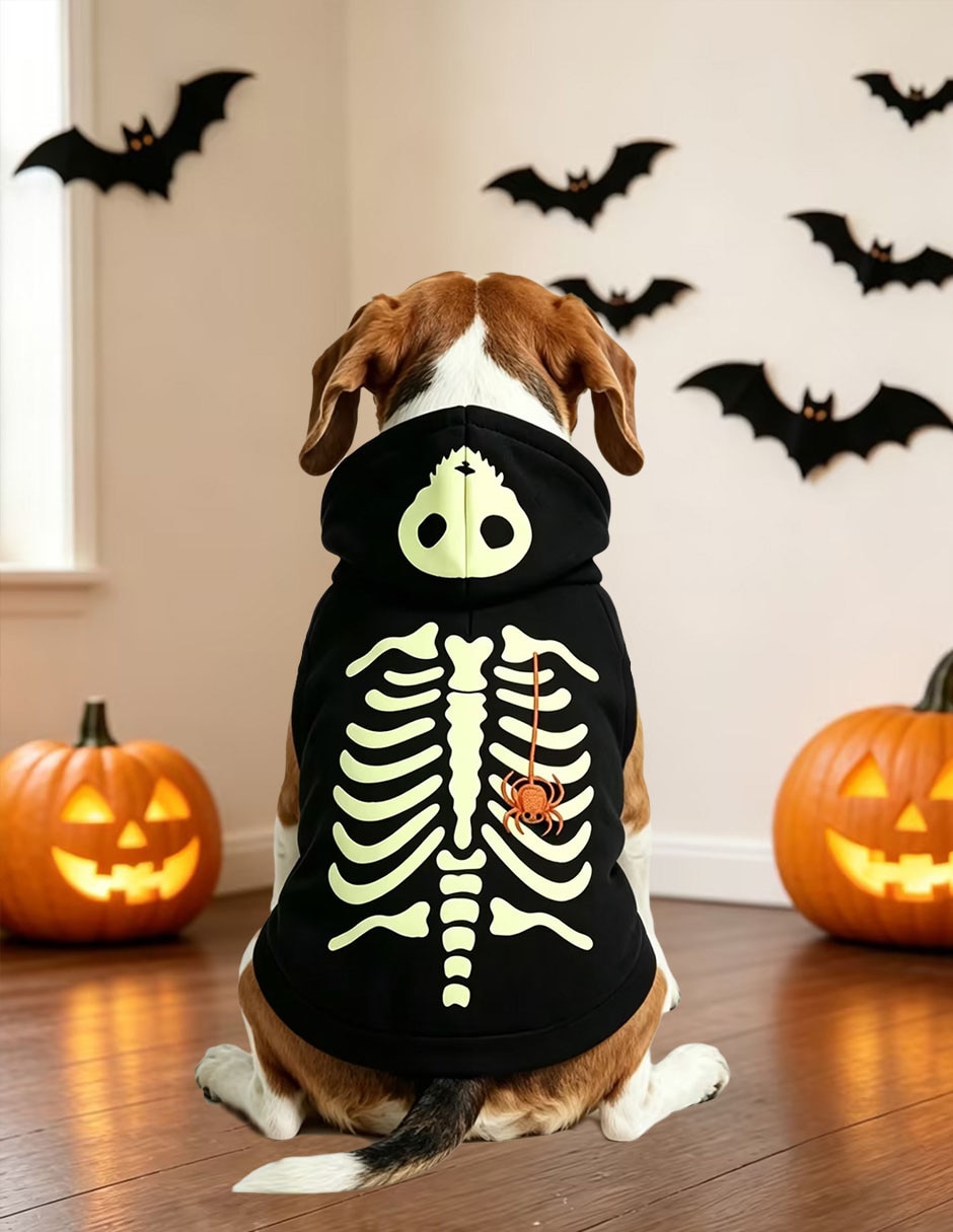 Sudadera para perro 5