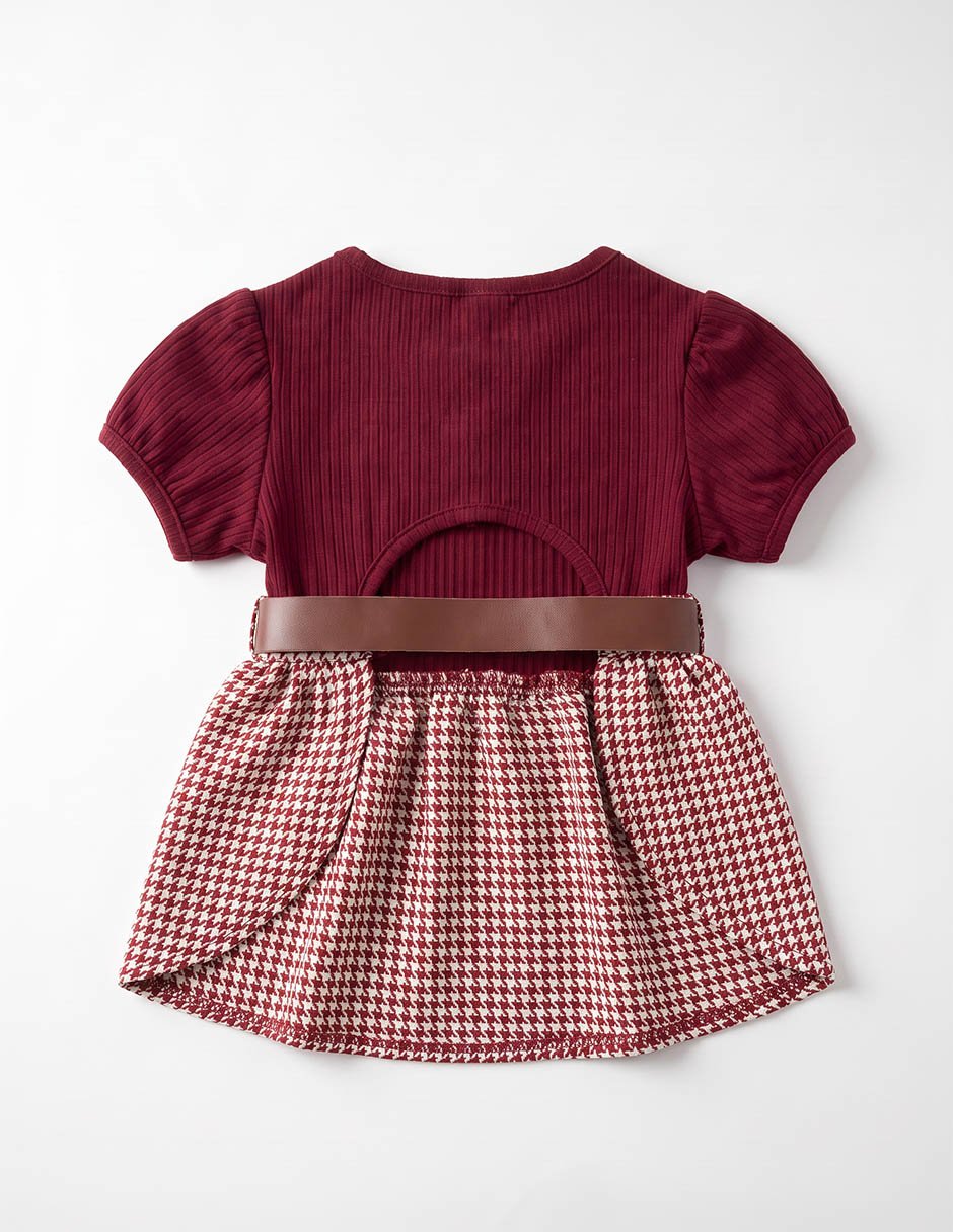 Vestido para perro 3