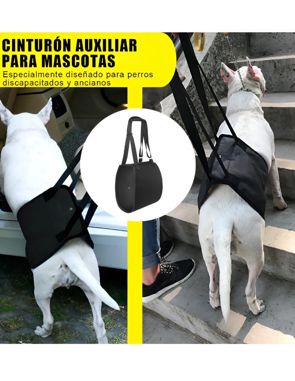 Mochila para mascota Xtellar