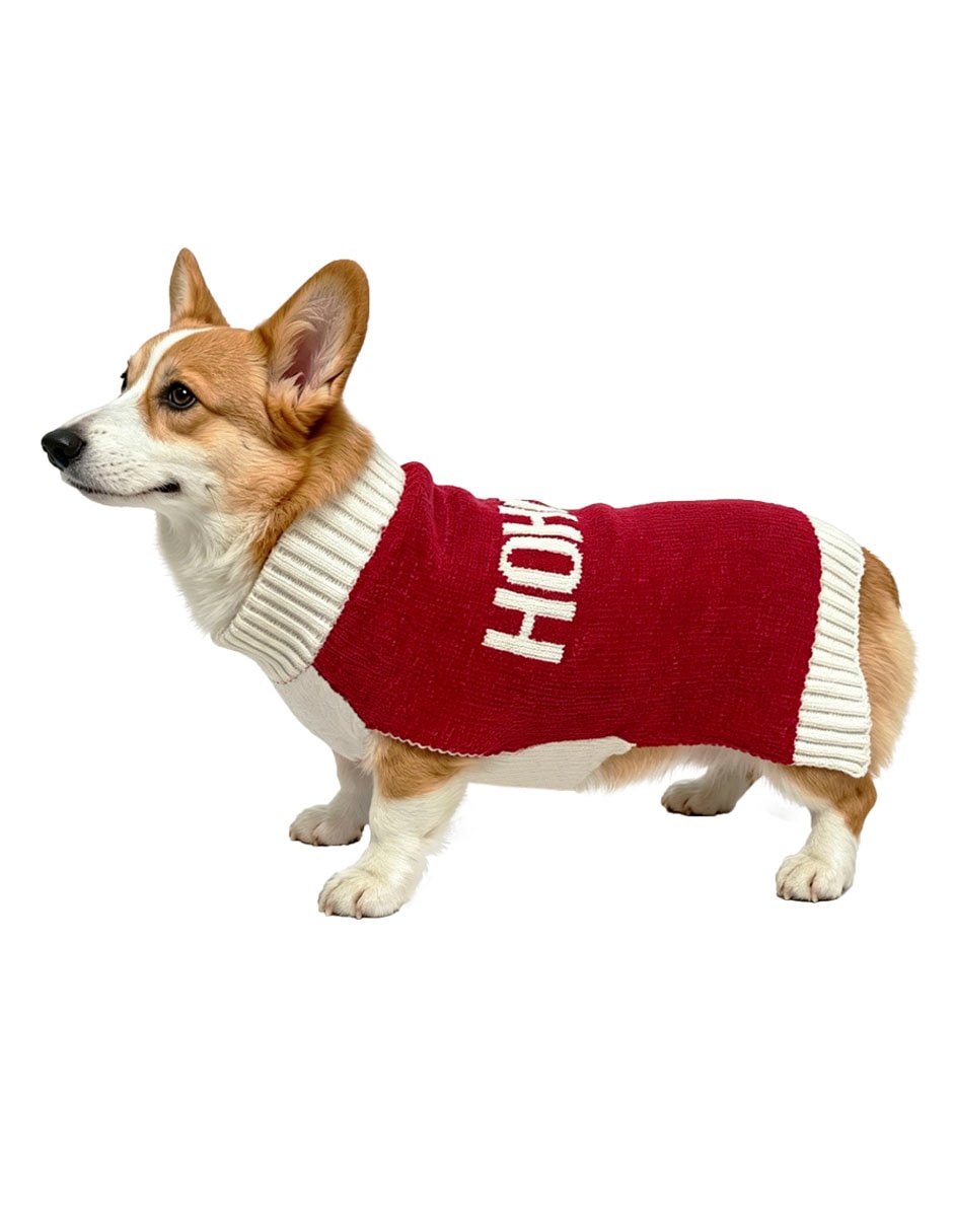 Suéter Navideño para perro 10