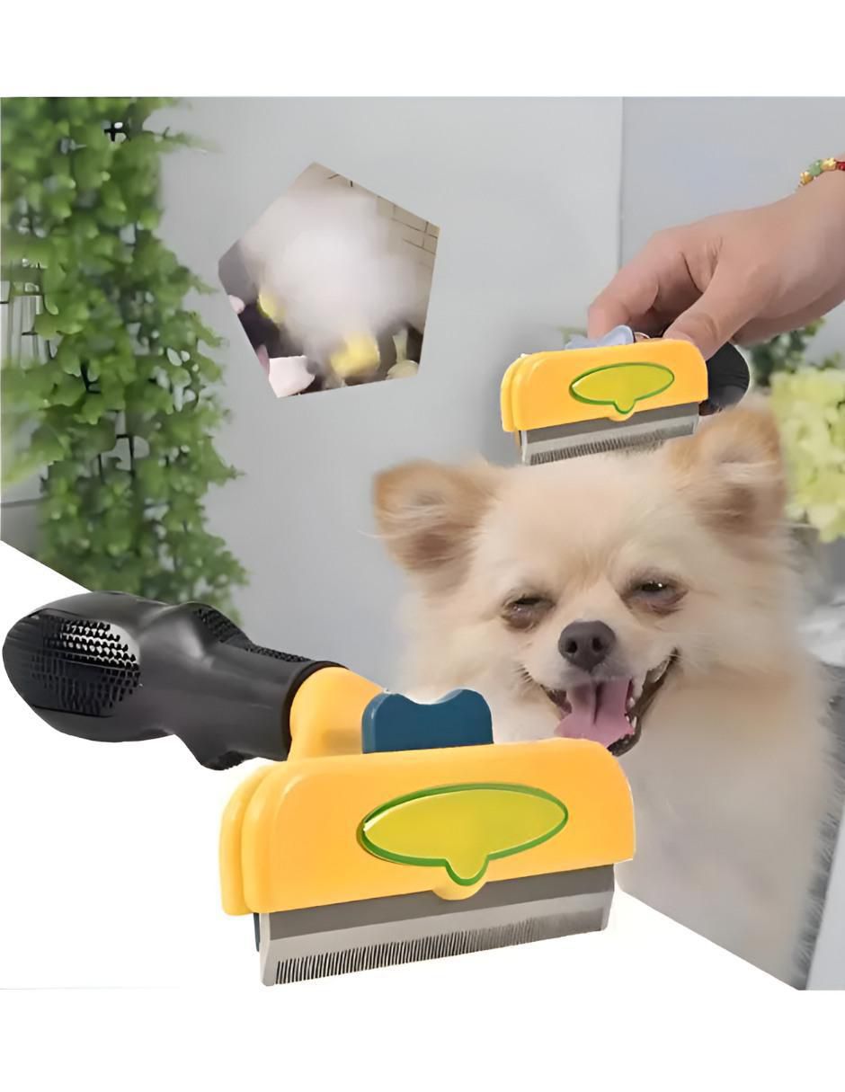 Carda Xtellar para perro y gato