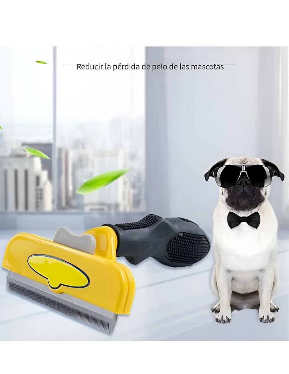 Carda para perro y gato