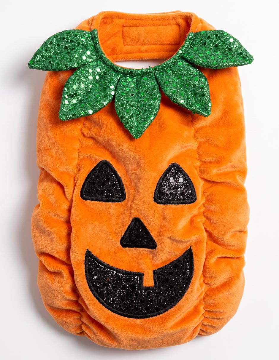 Disfraz para perro calabaza