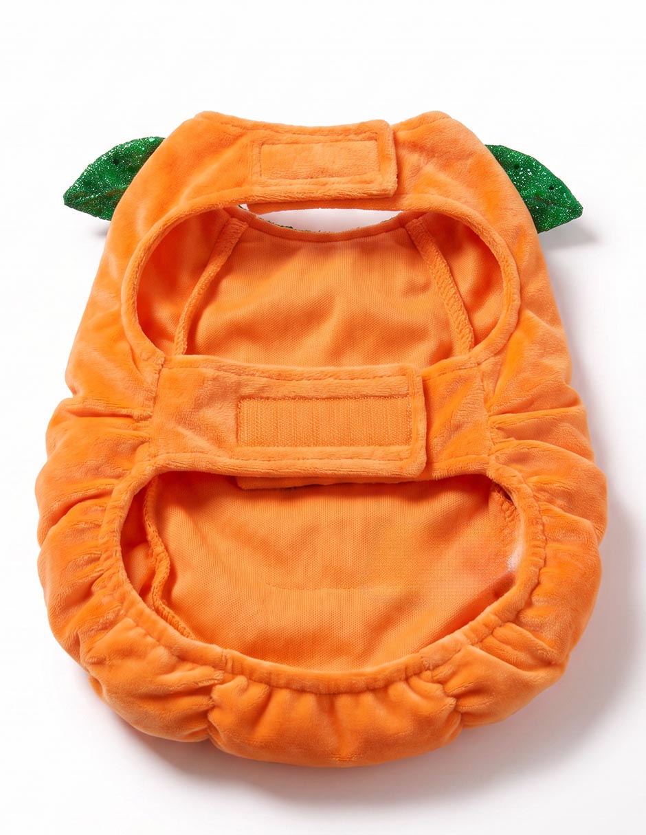 Disfraz para perro calabaza 2