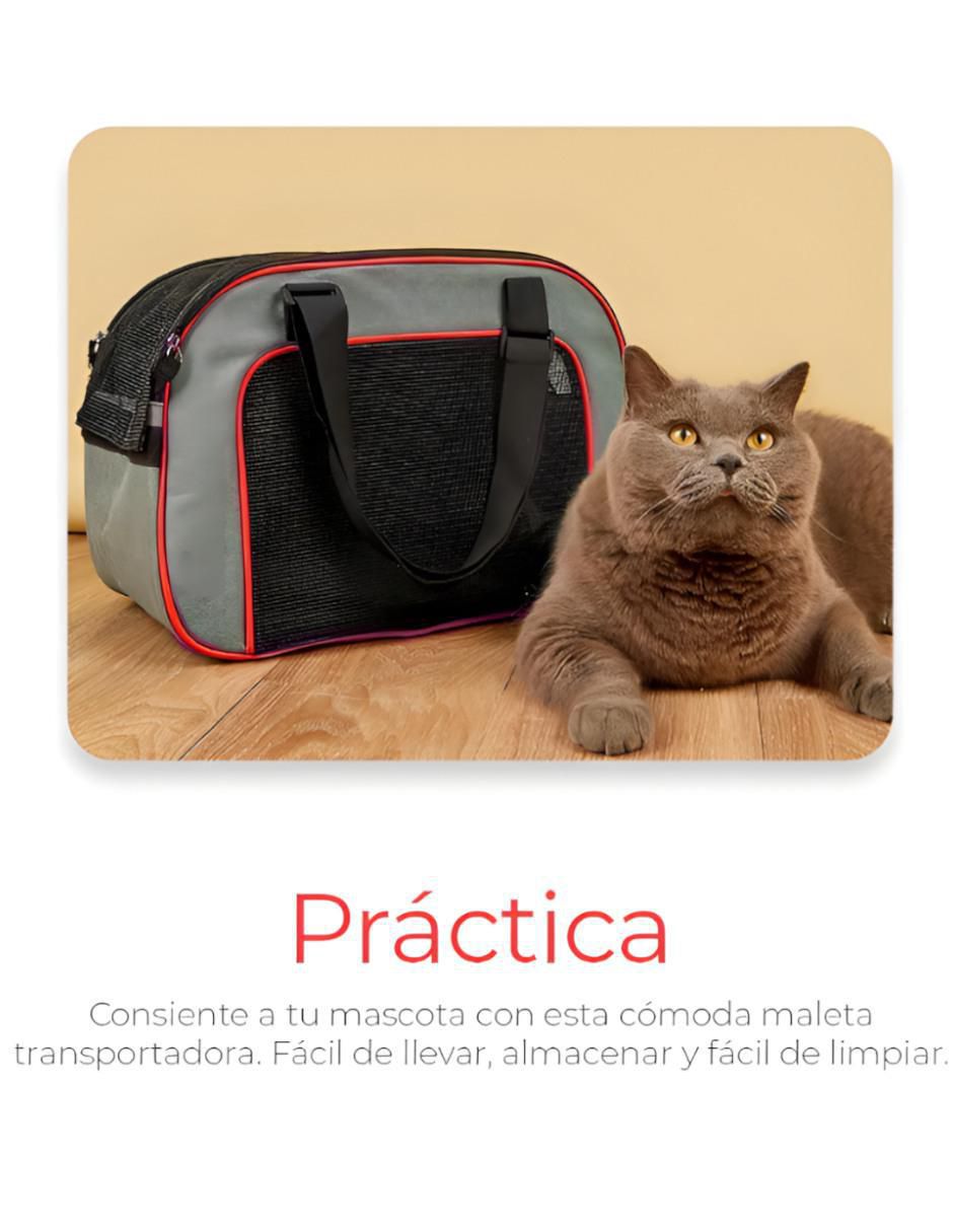 Mochila para mascota 3