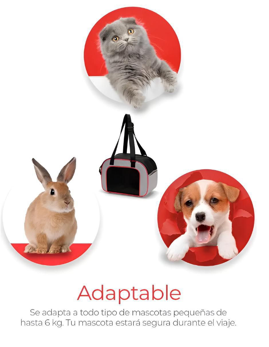 Mochila para mascota 4