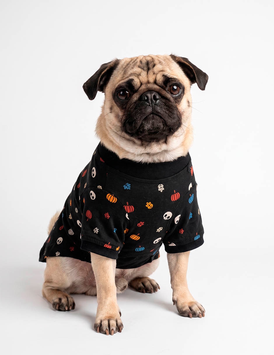 Pijama para perro