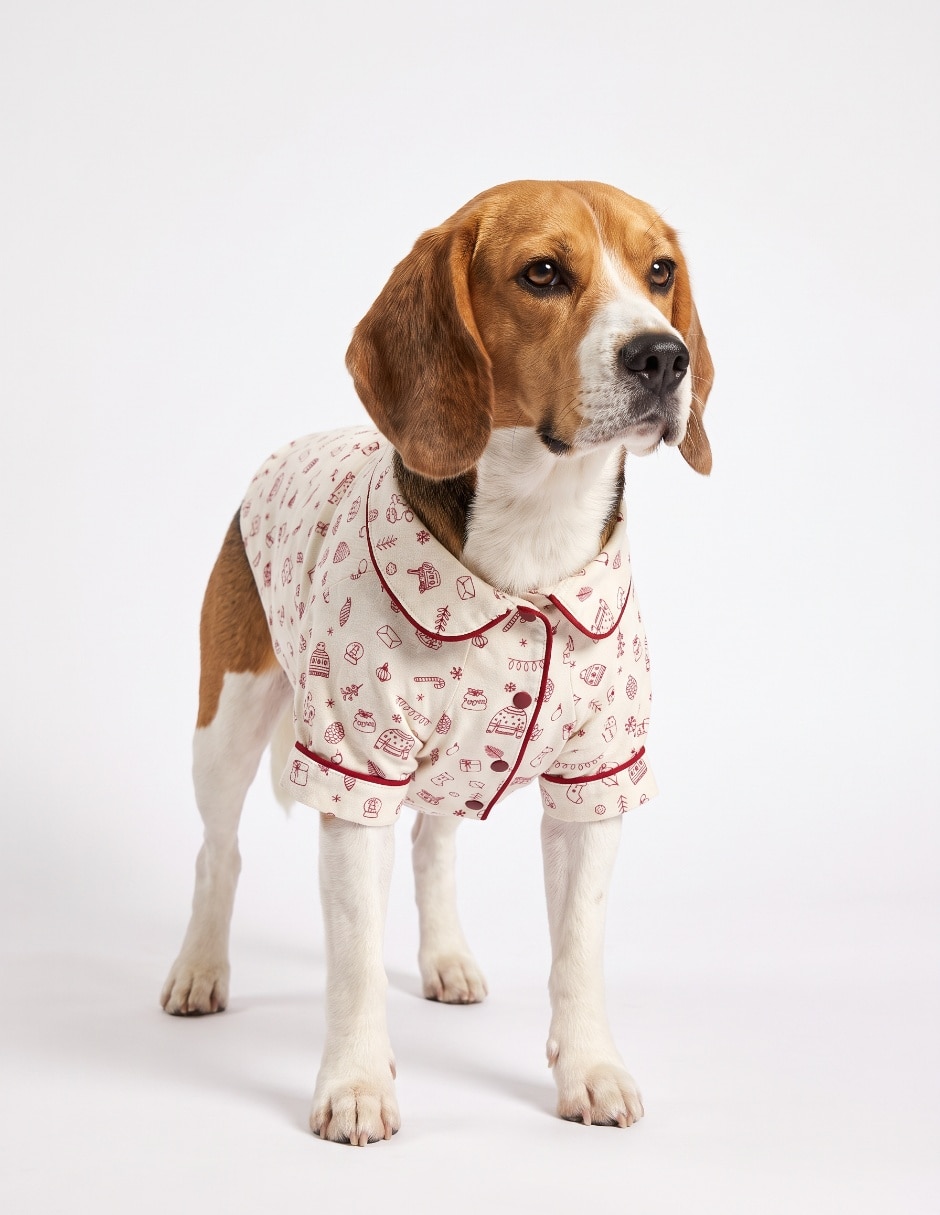 Camisa para perro Camisa para perro