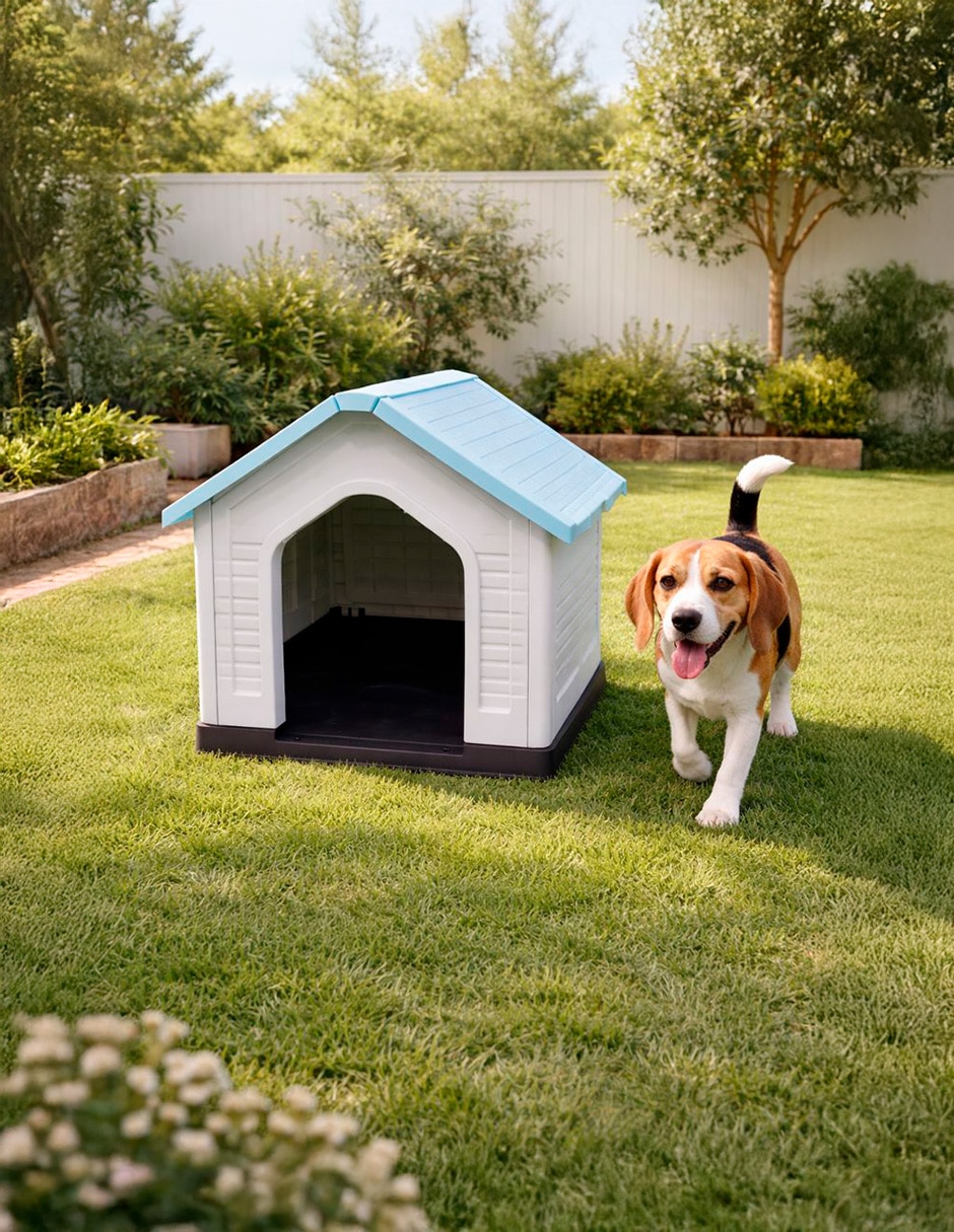 Casa para perro