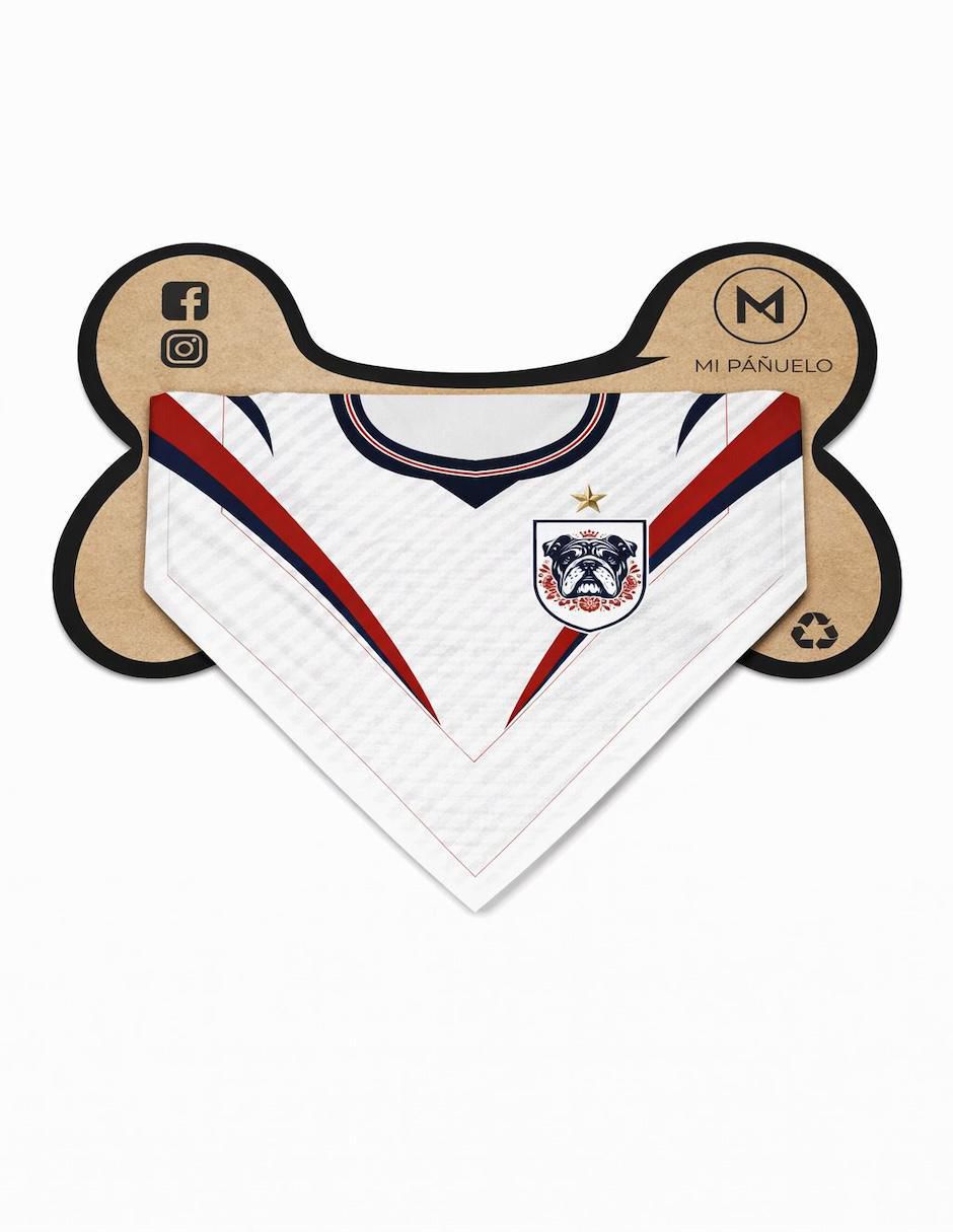 Pañuelo para mascota Mundial 3