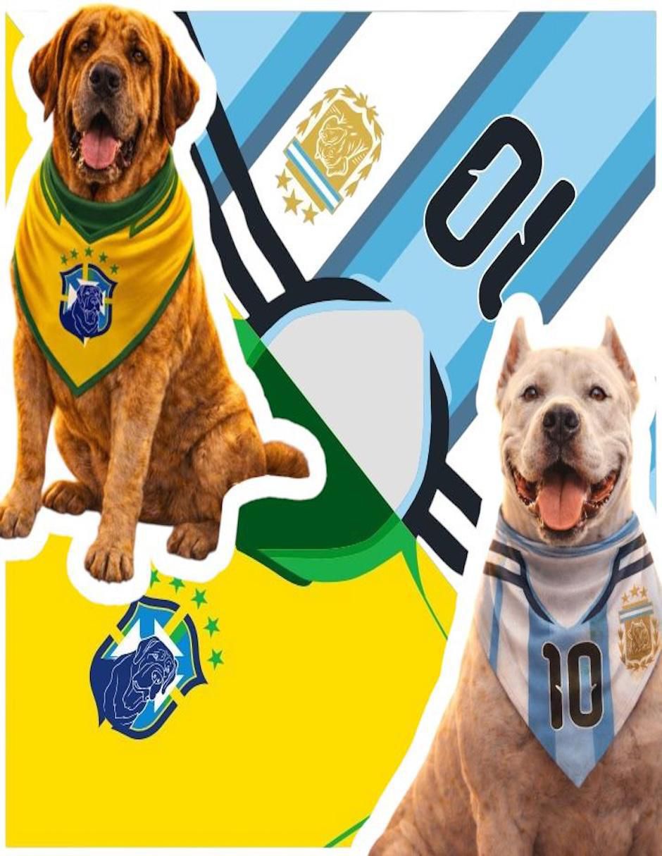 Pañuelo para mascota Mi Pañuelo Mundial