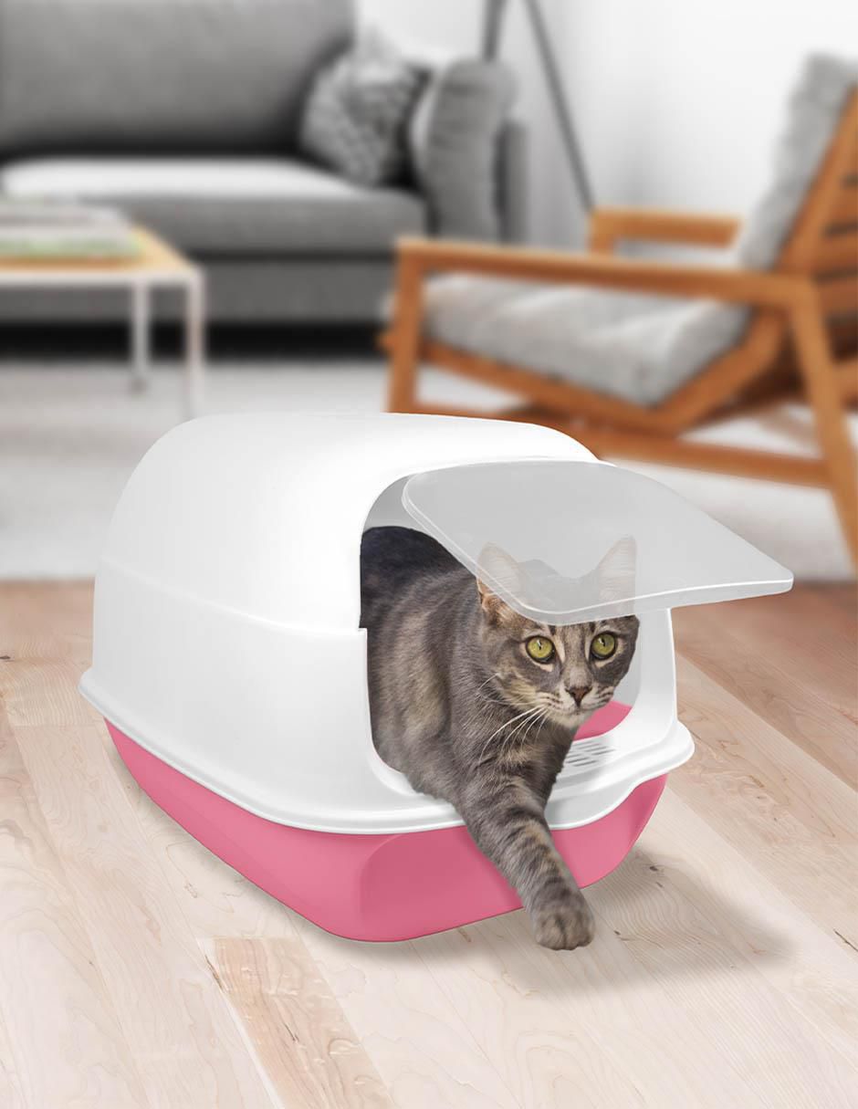 Arenero Fancy Pets para gato