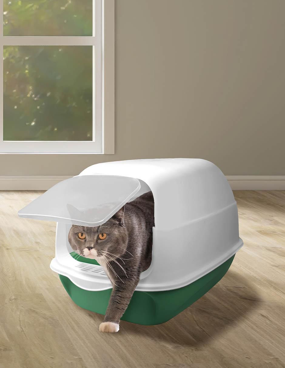 Arenero Fancy Pets para gato