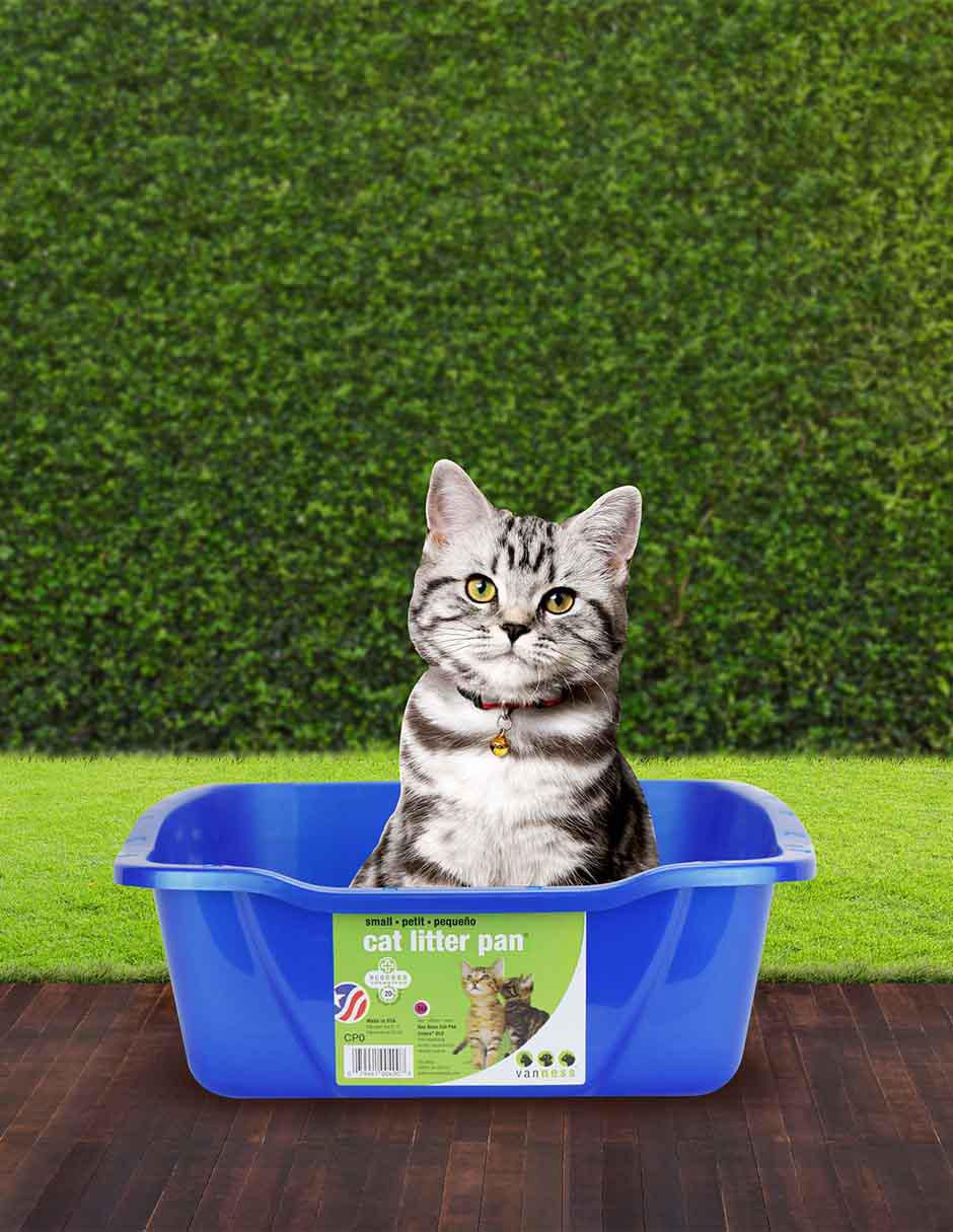Arenero para gato