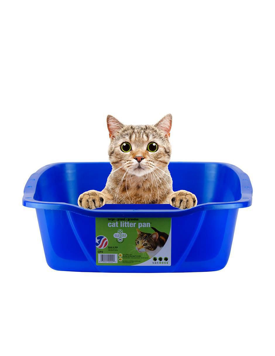 Arenero para gato
