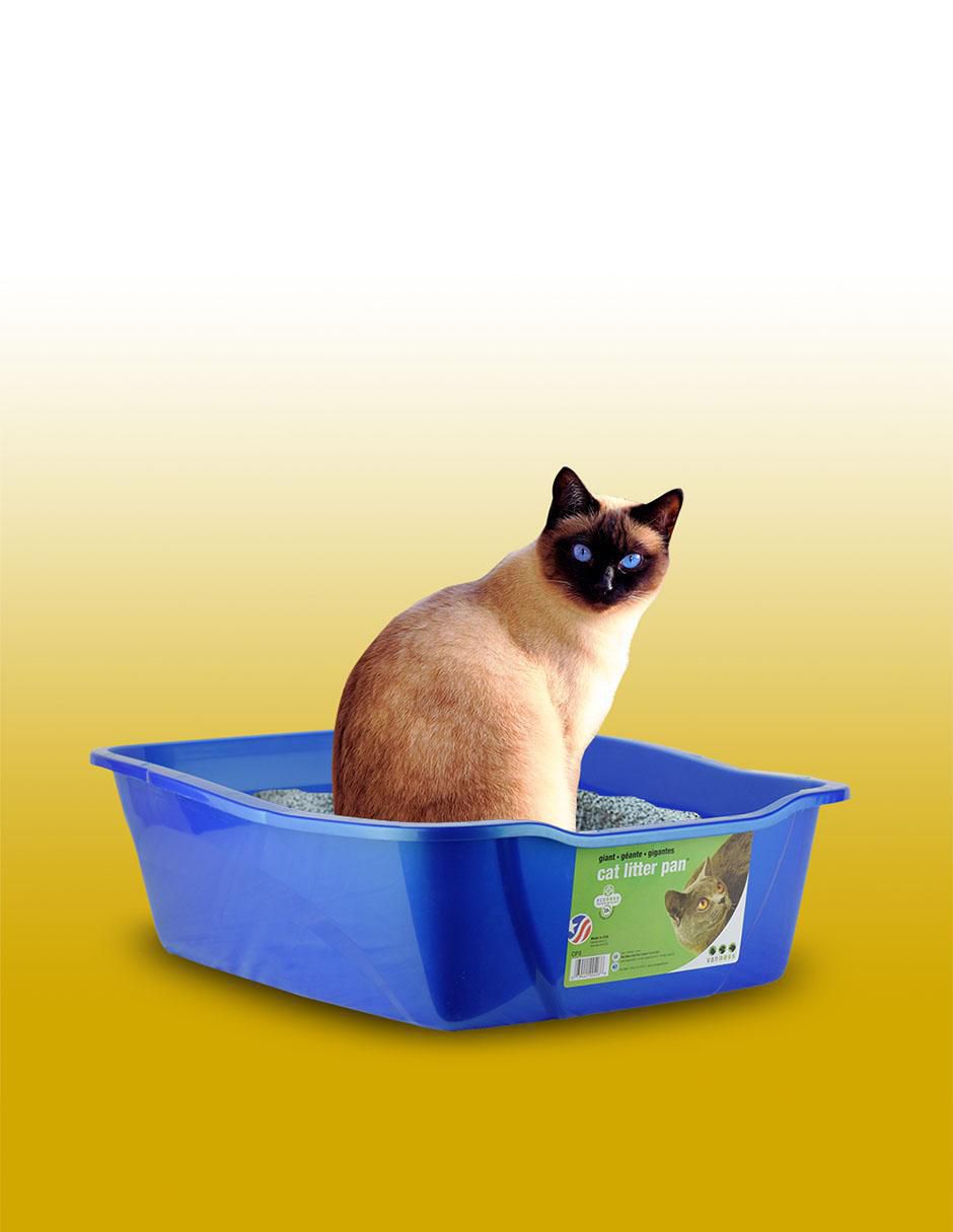 Arenero para gato Arenero para gato