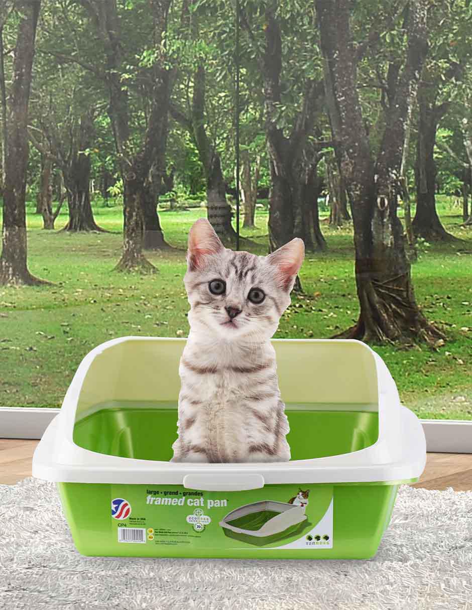 Arenero para gato
