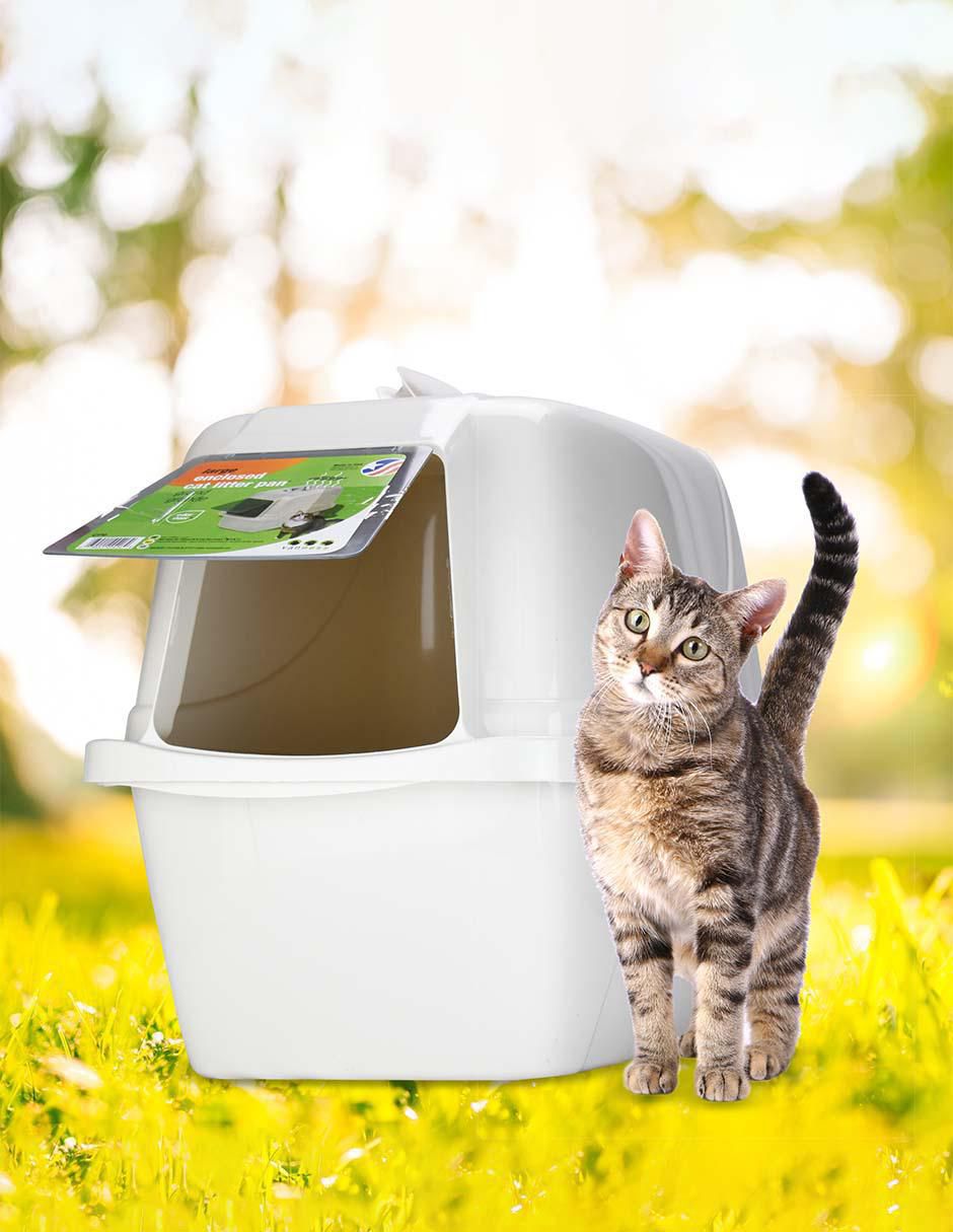 Arenero para gato
