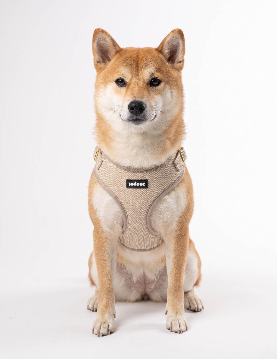 Arnés para Perro 4