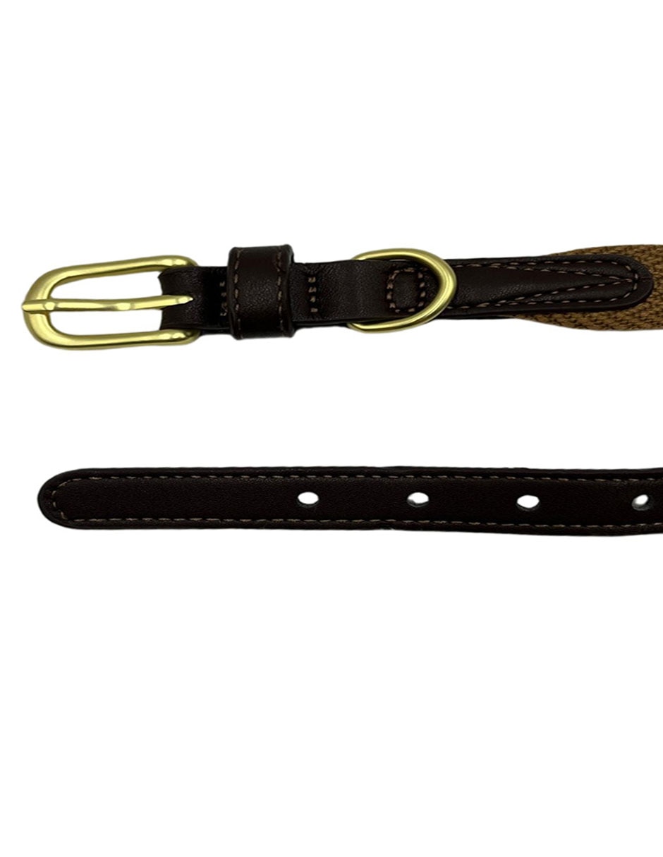 Collar para perro 3
