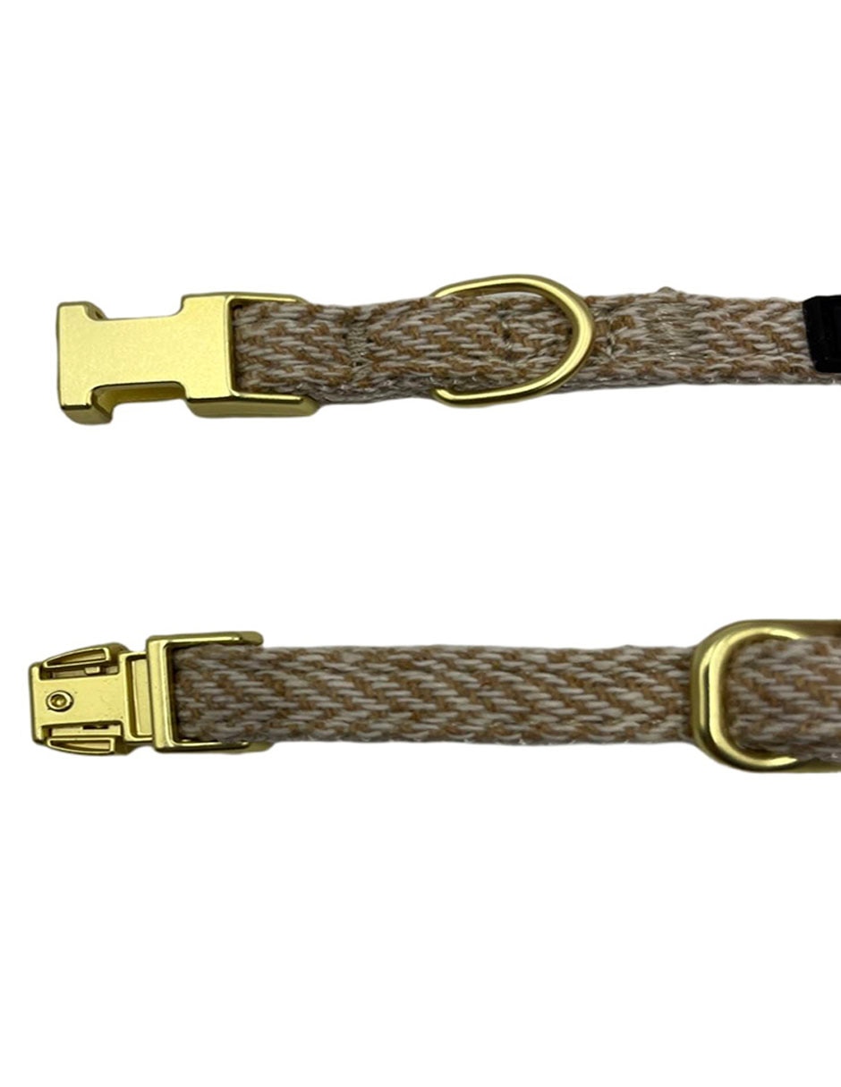 Collar Zoopet para perro y gato 3