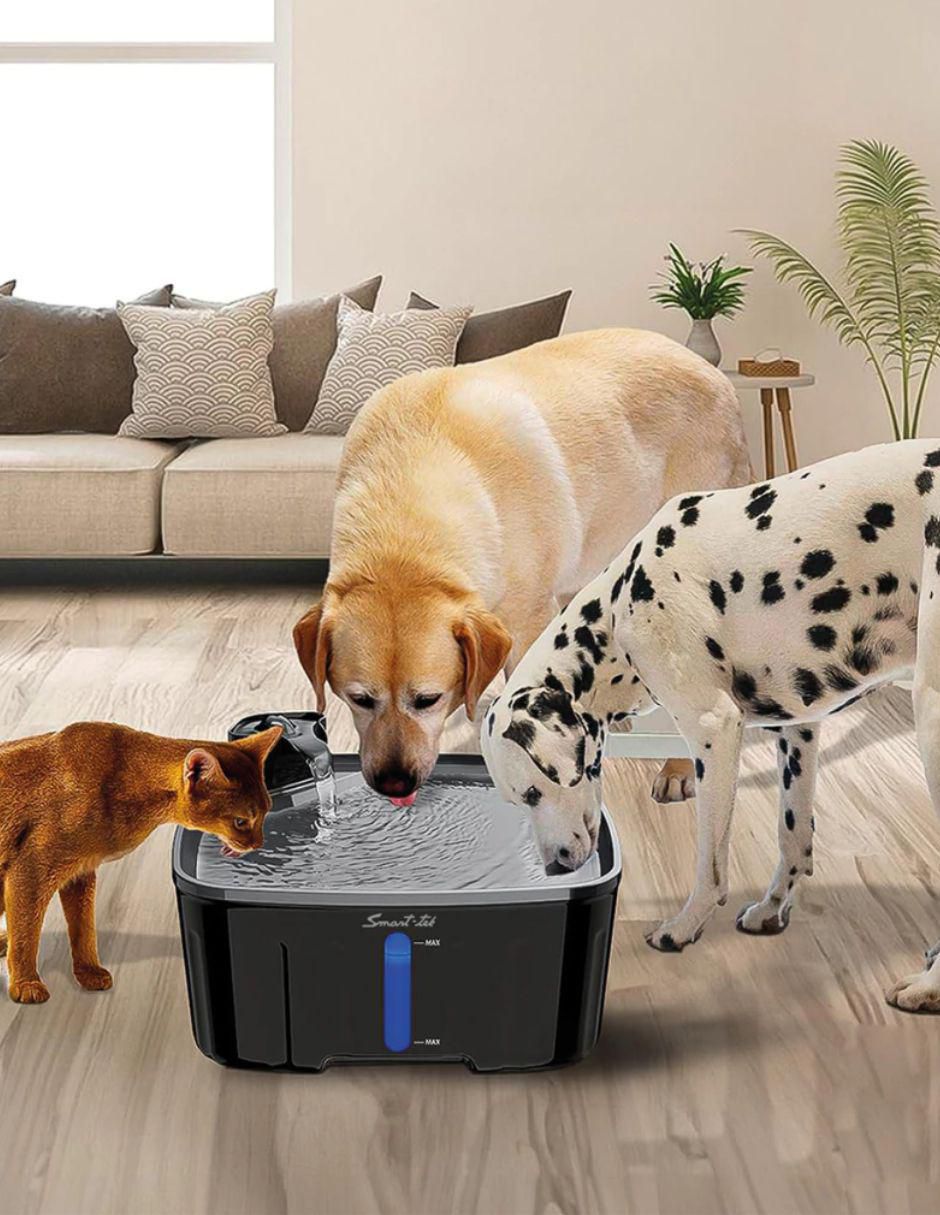 "bebedero" transparente "para" perro y gato smart-tek g