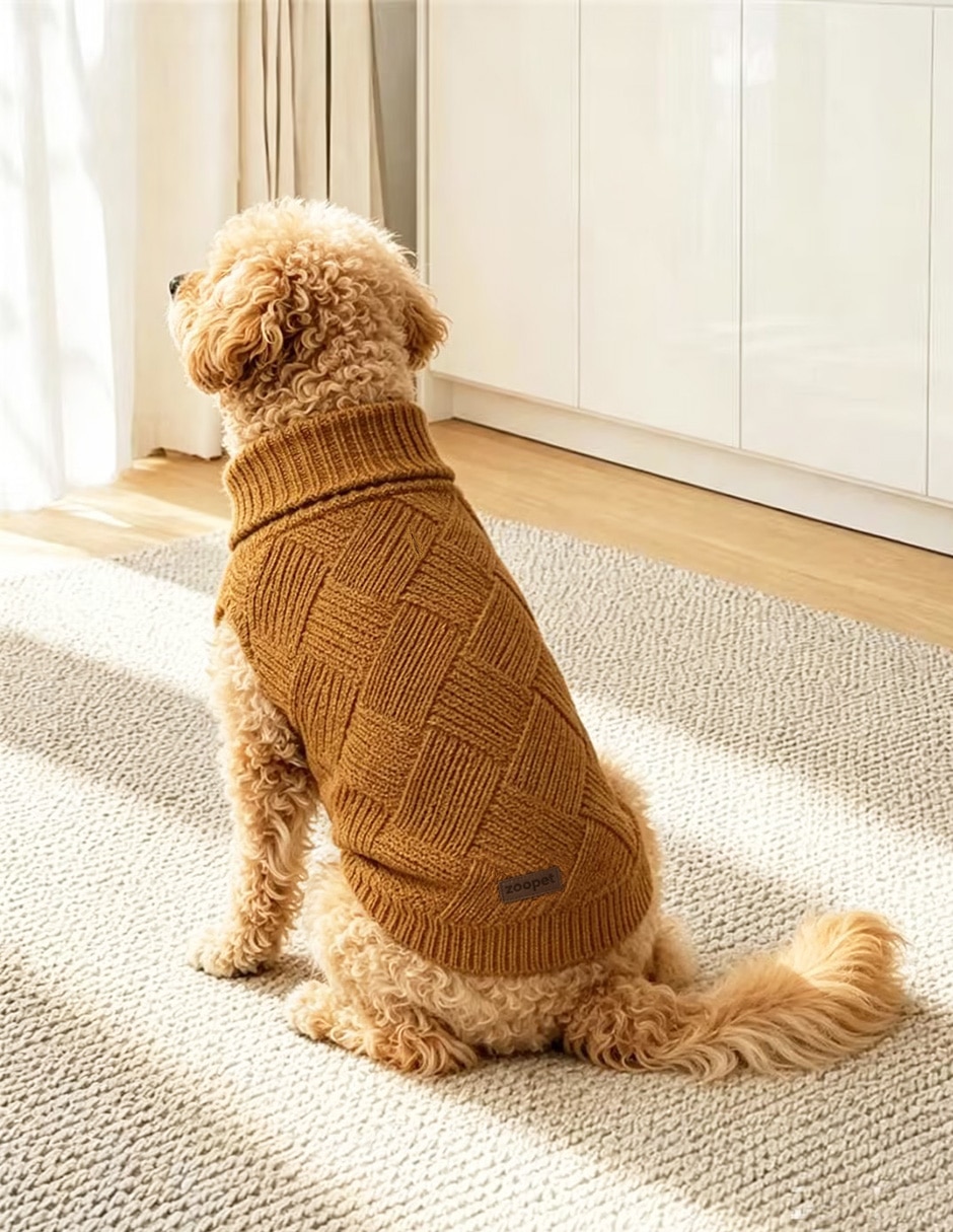 Suéter para perro 2