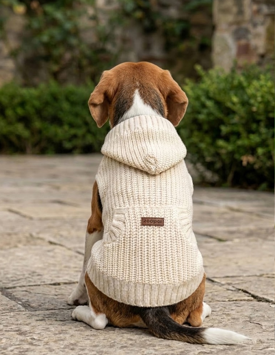 Suéter para perro 3