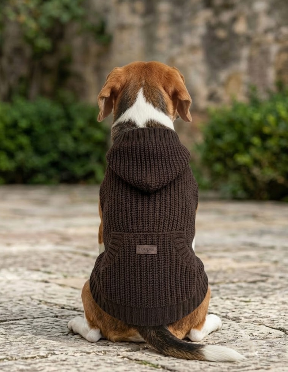 Suéter para perro 3