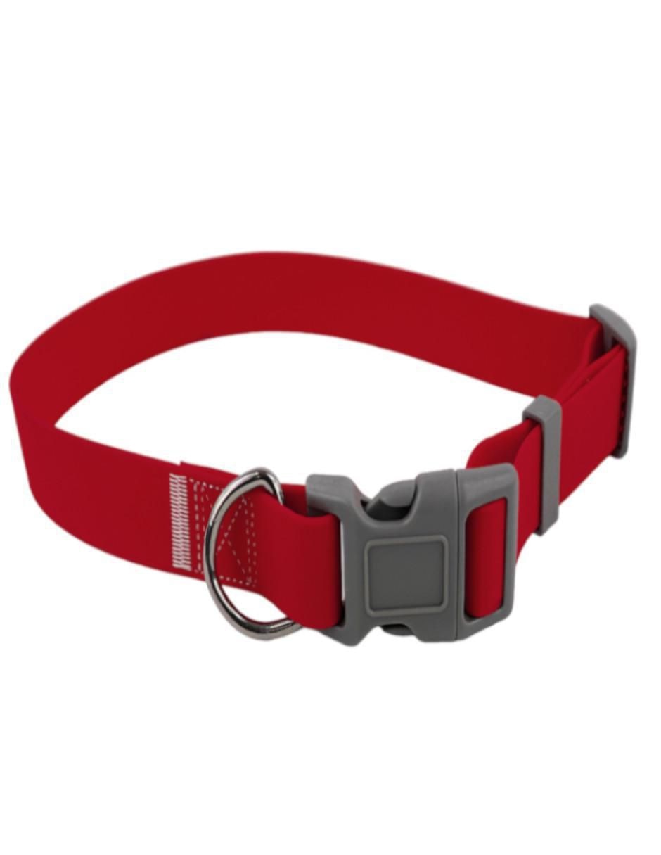 Kit de collar para perro 5