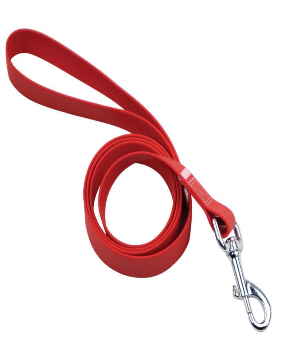 Kit de collar para perro