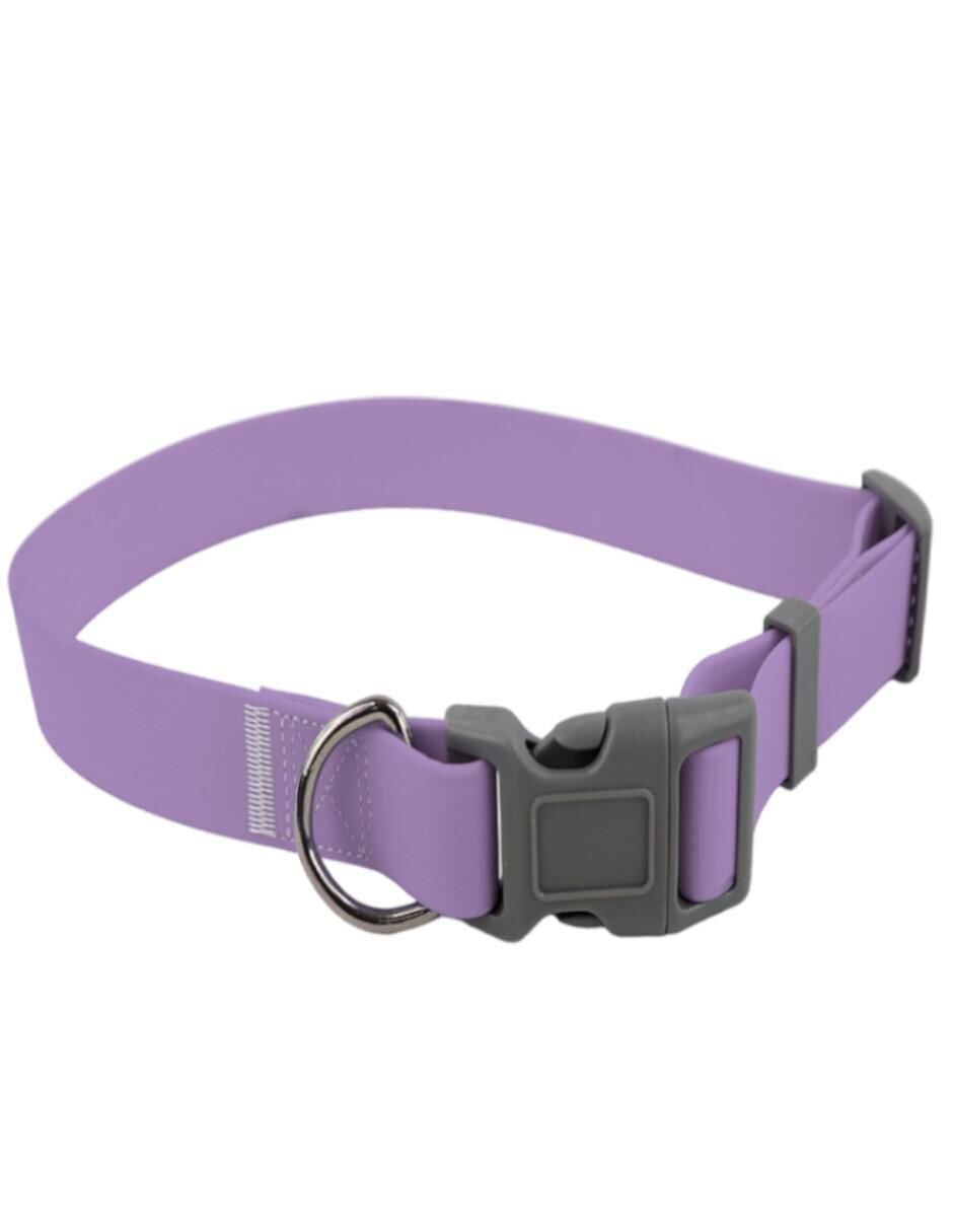 Kit de collar para perro 5