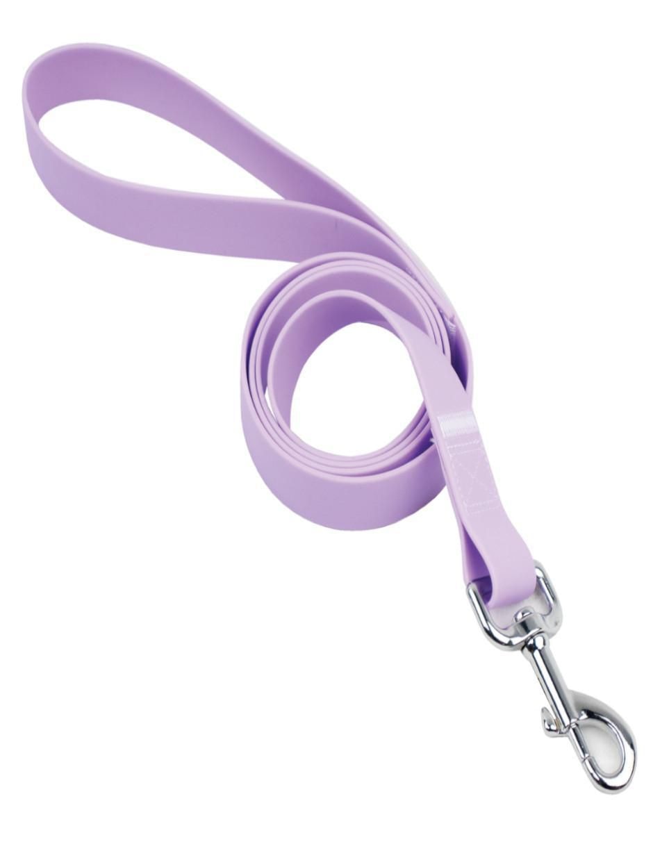 Kit de collar para perro