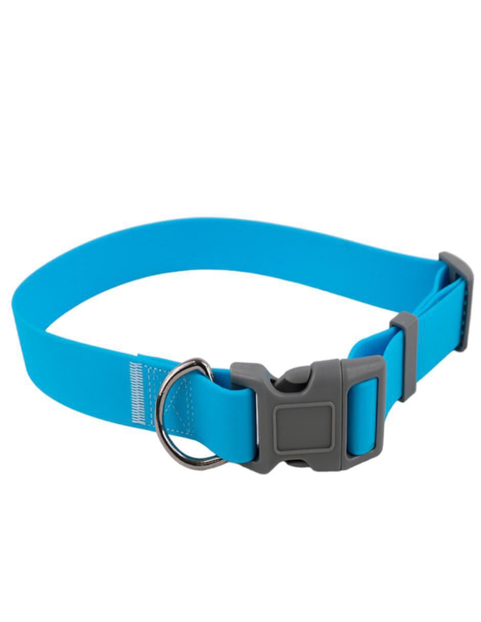 Kit de collar para perro 5