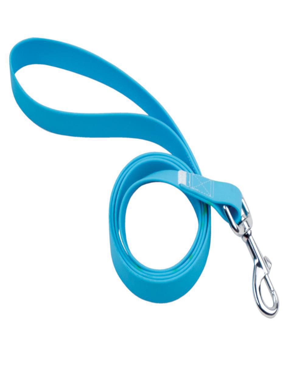 Kit de collar para perro
