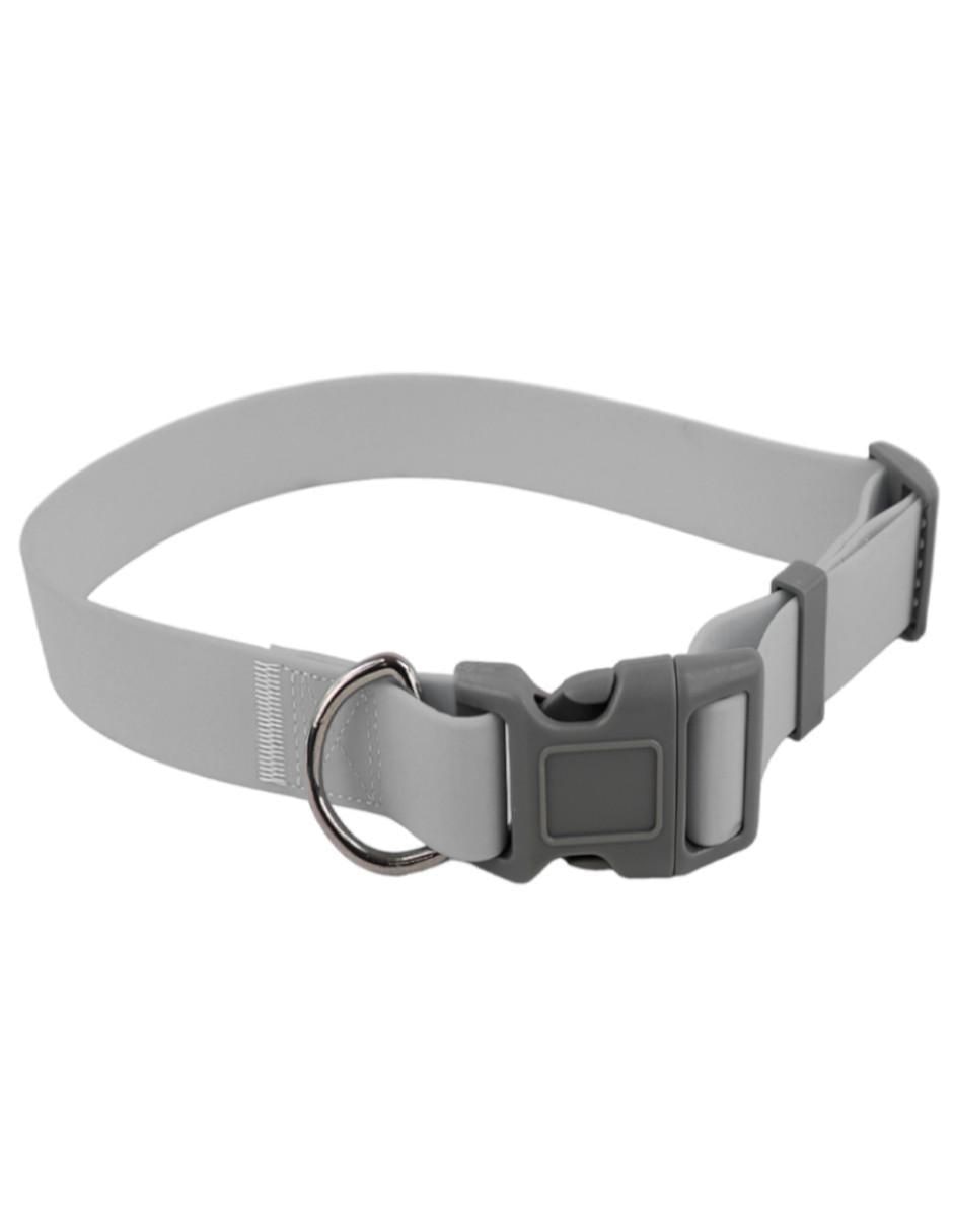Kit de collar para perro 5