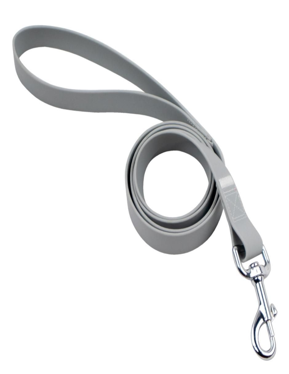 Kit de collar para perro