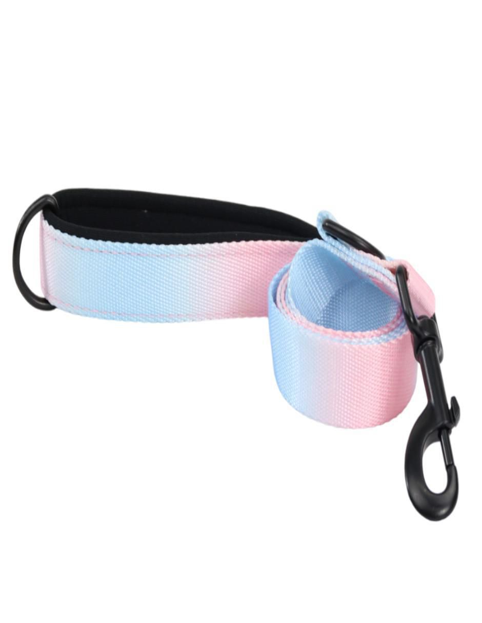 Kit de collar para perro 5