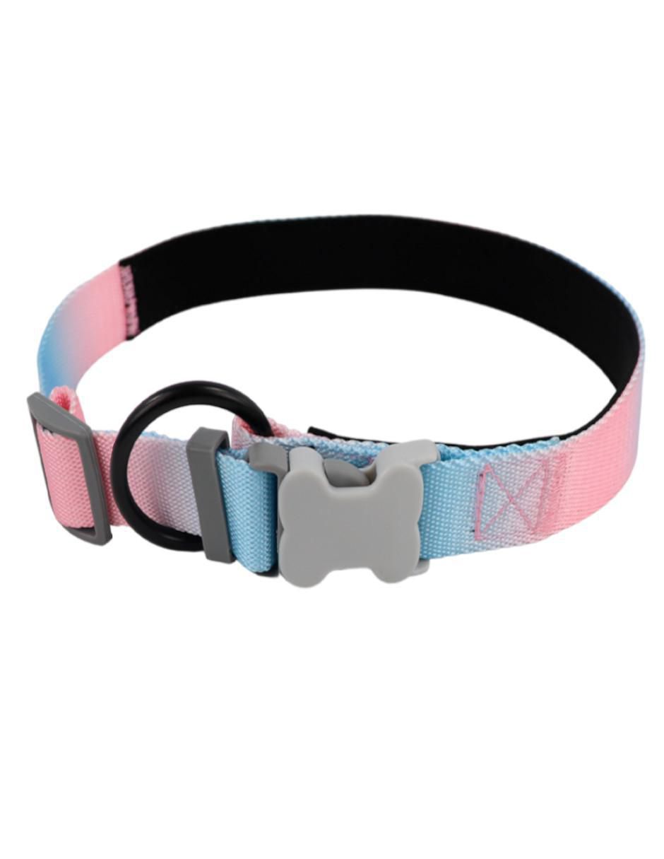 Kit de collar para perro