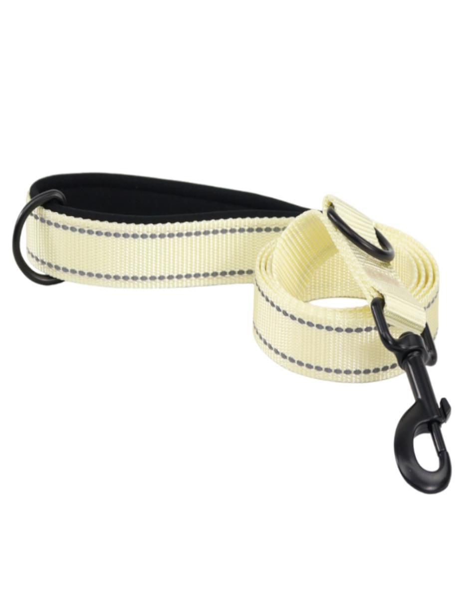 Kit de collar para perro 5