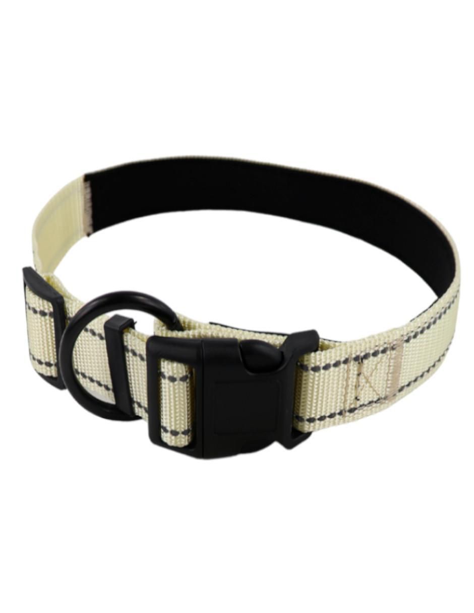 Kit de collar para perro