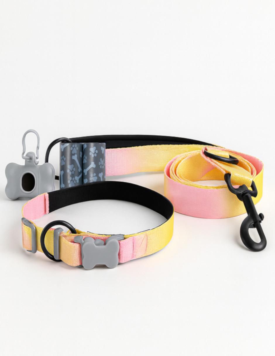 Kit de collar para perro Kit de collar para perro
