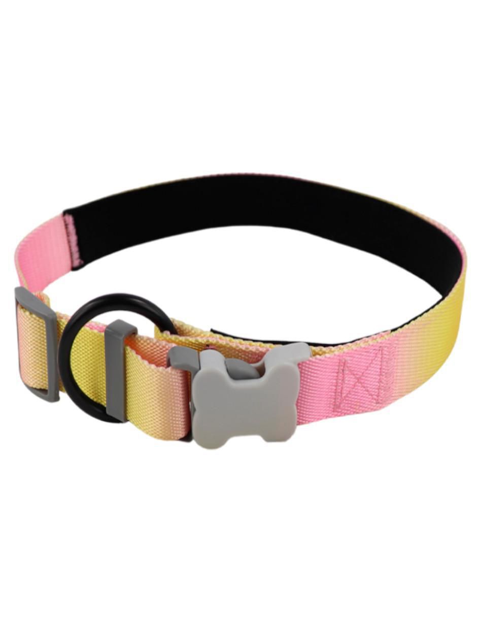 Kit de collar para perro 5