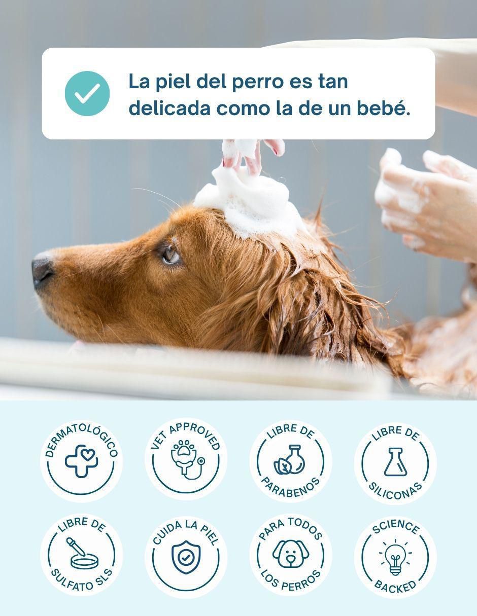 Shampoo para perro Shampoo para perro