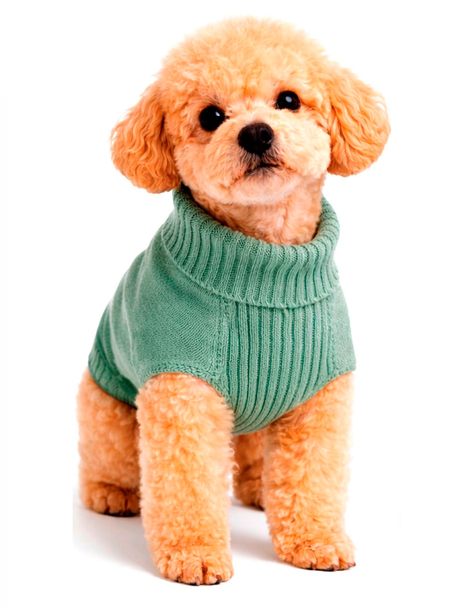 Sueter para mascota 5