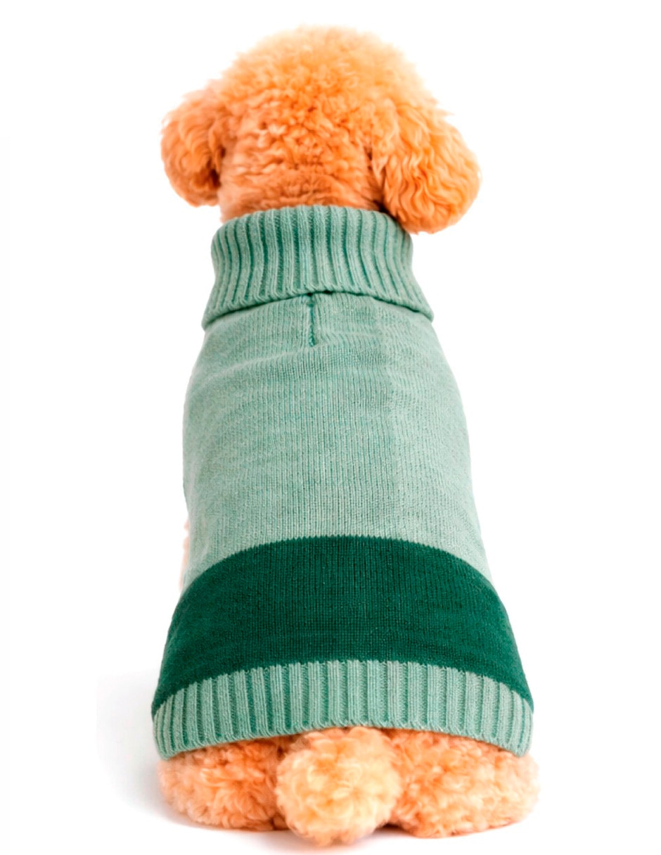 Sueter para mascota 6