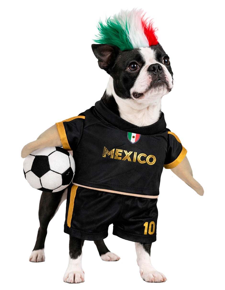 Para perro y gato