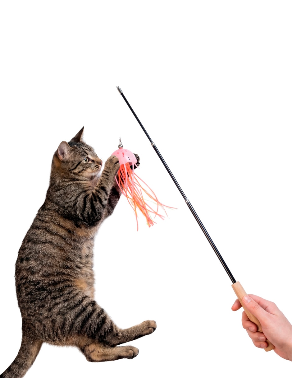 Juguetes gato para gato Juguetes gato para gato