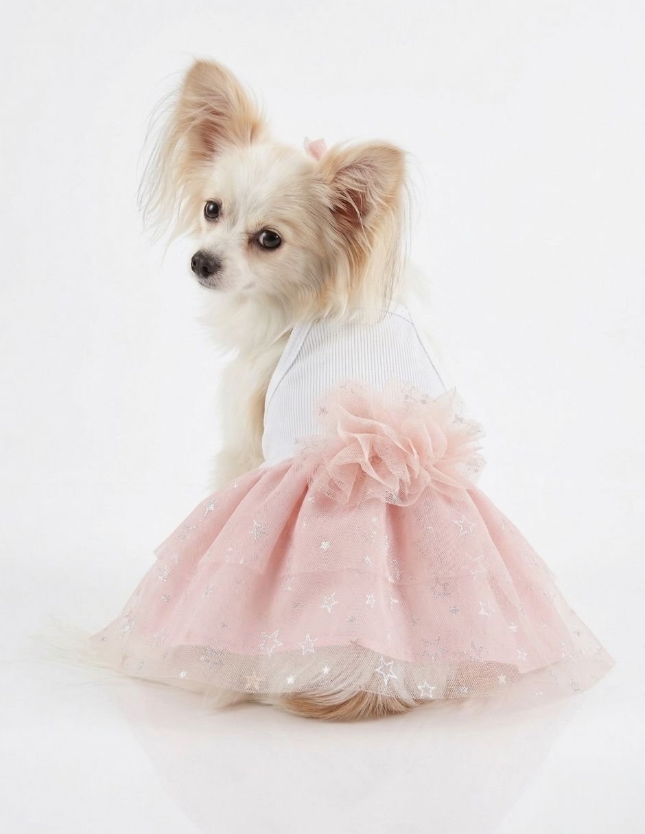 Vestido para perro