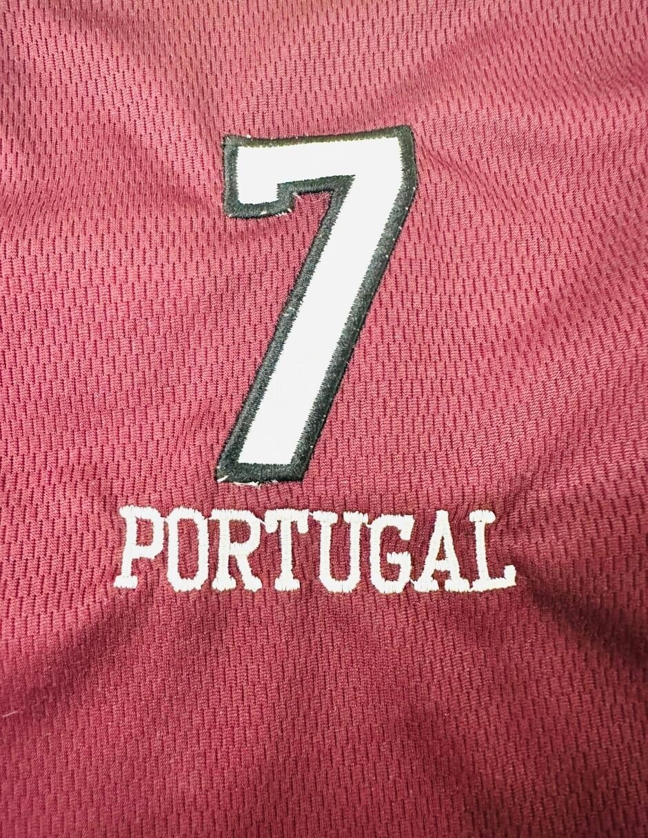 Playera para perro 2